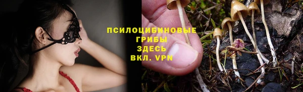 а пвп мука Дмитровск