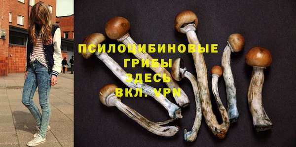 меф Дмитриев